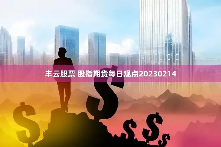 丰云股票 股指期货每日观点20230214