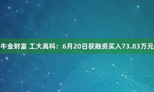 牛金财富 工大高科：6月20日获融资买入73.83万元