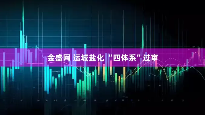 金盛网 运城盐化 “四体系”过审
