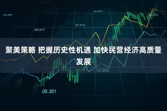 聚美策略 把握历史性机遇 加快民营经济高质量发展