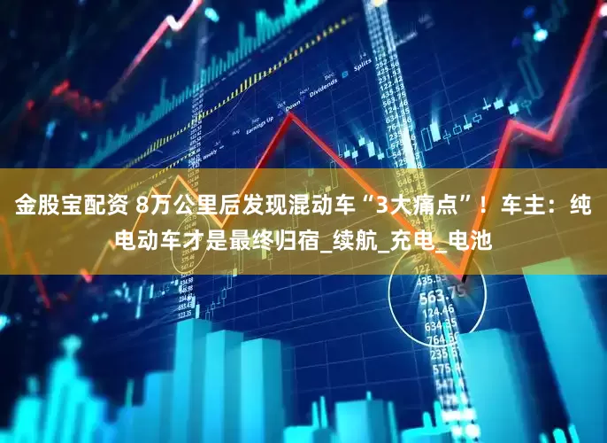 金股宝配资 8万公里后发现混动车“3大痛点”！车主：纯电动车才是最终归宿_续航_充电_电池