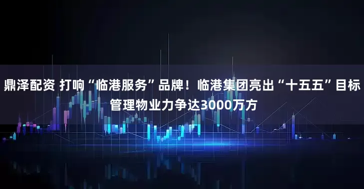 鼎泽配资 打响“临港服务”品牌！临港集团亮出“十五五”目标 管理物业力争达3000万方