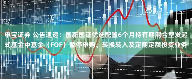 申宝证券 公告速递：国新国证优选配置6个月持有期混合型发起式基金中基金（FOF）暂停申购、转换转入及定期定额投资业务